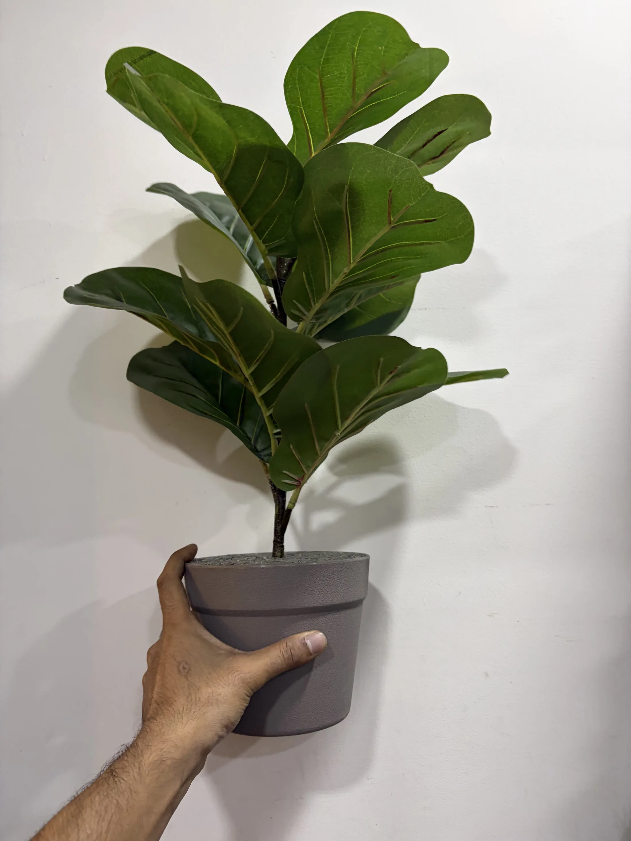 Faux Fiddle Leaf Fig Plant in Grey Pot — Home Decor prop for rent in Delhi NCR