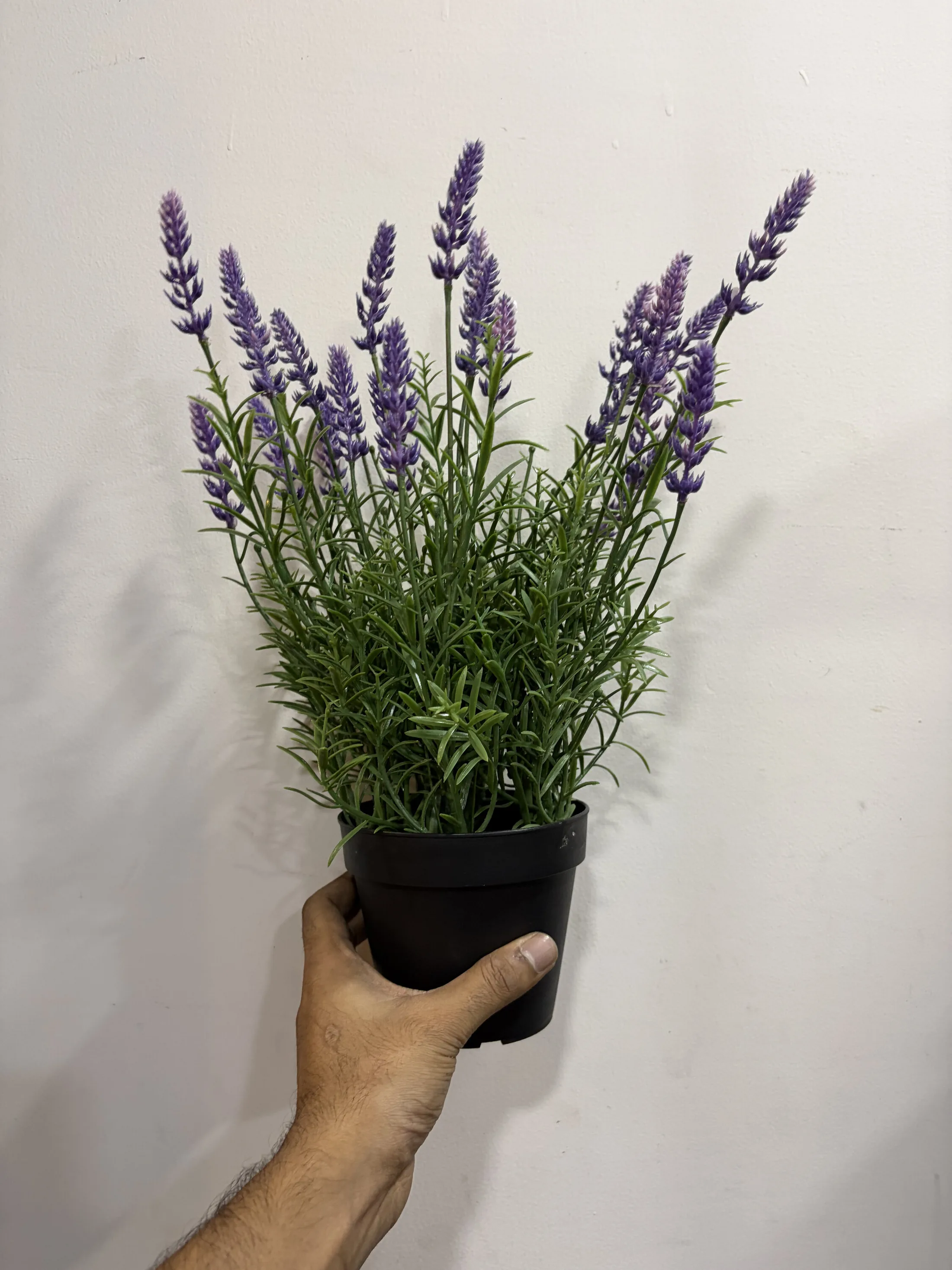Faux Lavender Plant in Black Pot — Home Decor prop for rent in Delhi NCR