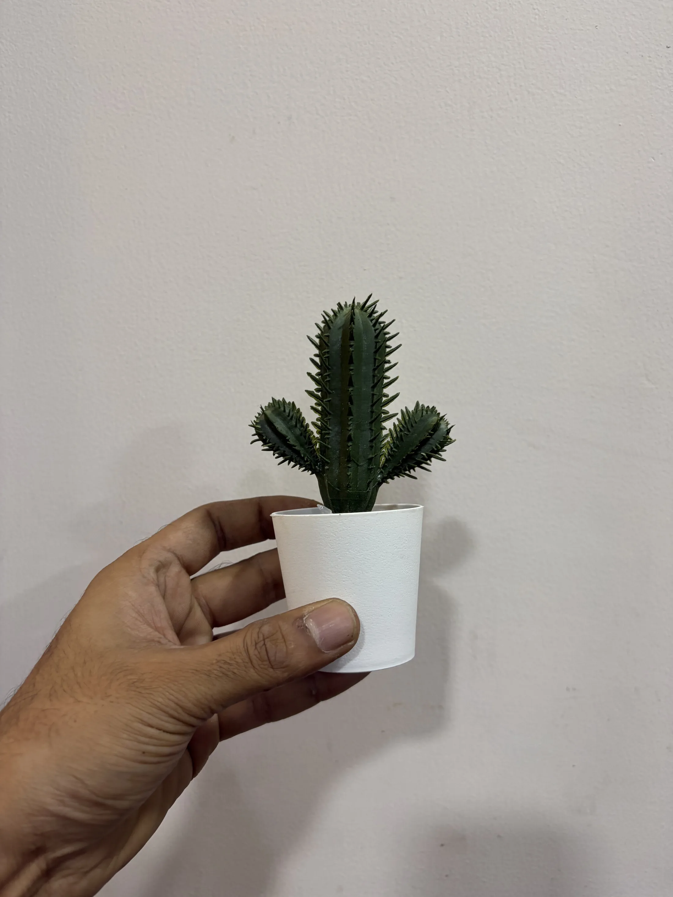 Small Faux Cactus in White Pot — Home Decor prop for rent in Delhi NCR