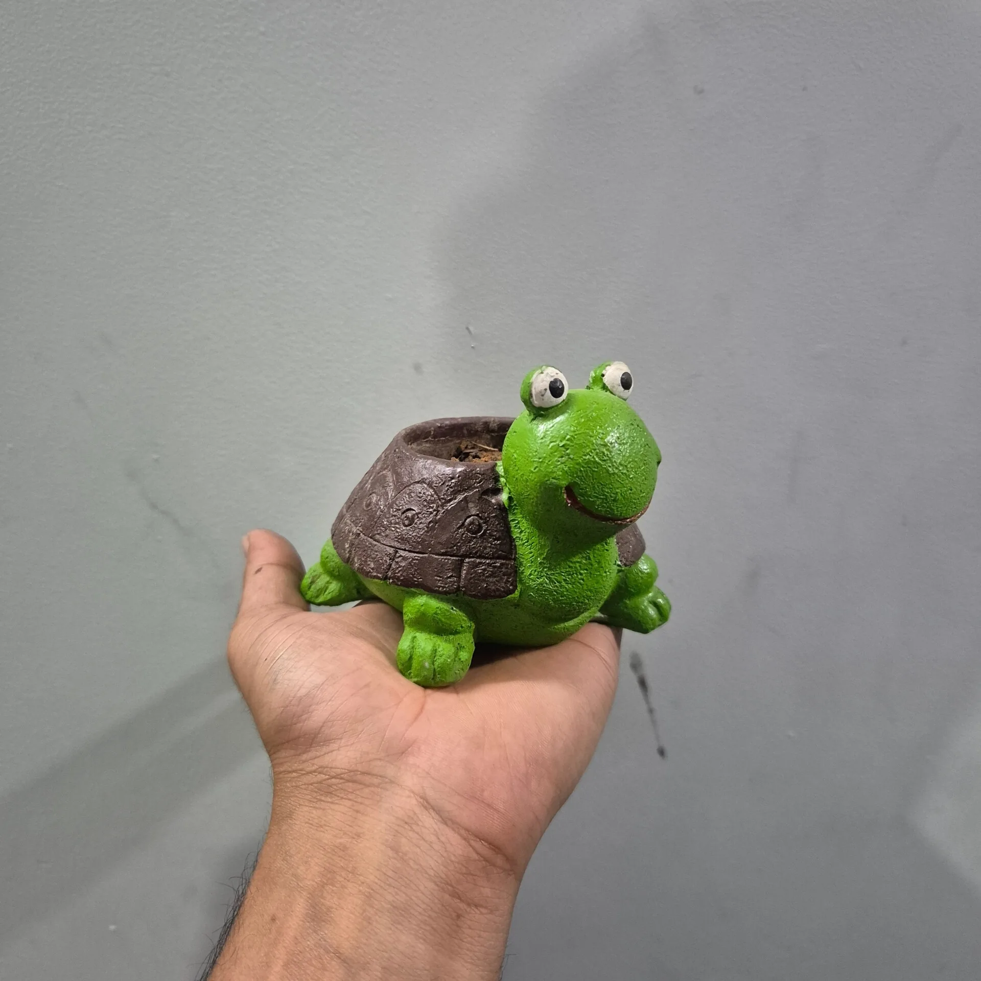 Green Resin Turtle Planter With Brown Shell — Home Decor prop for rent in Delhi NCR