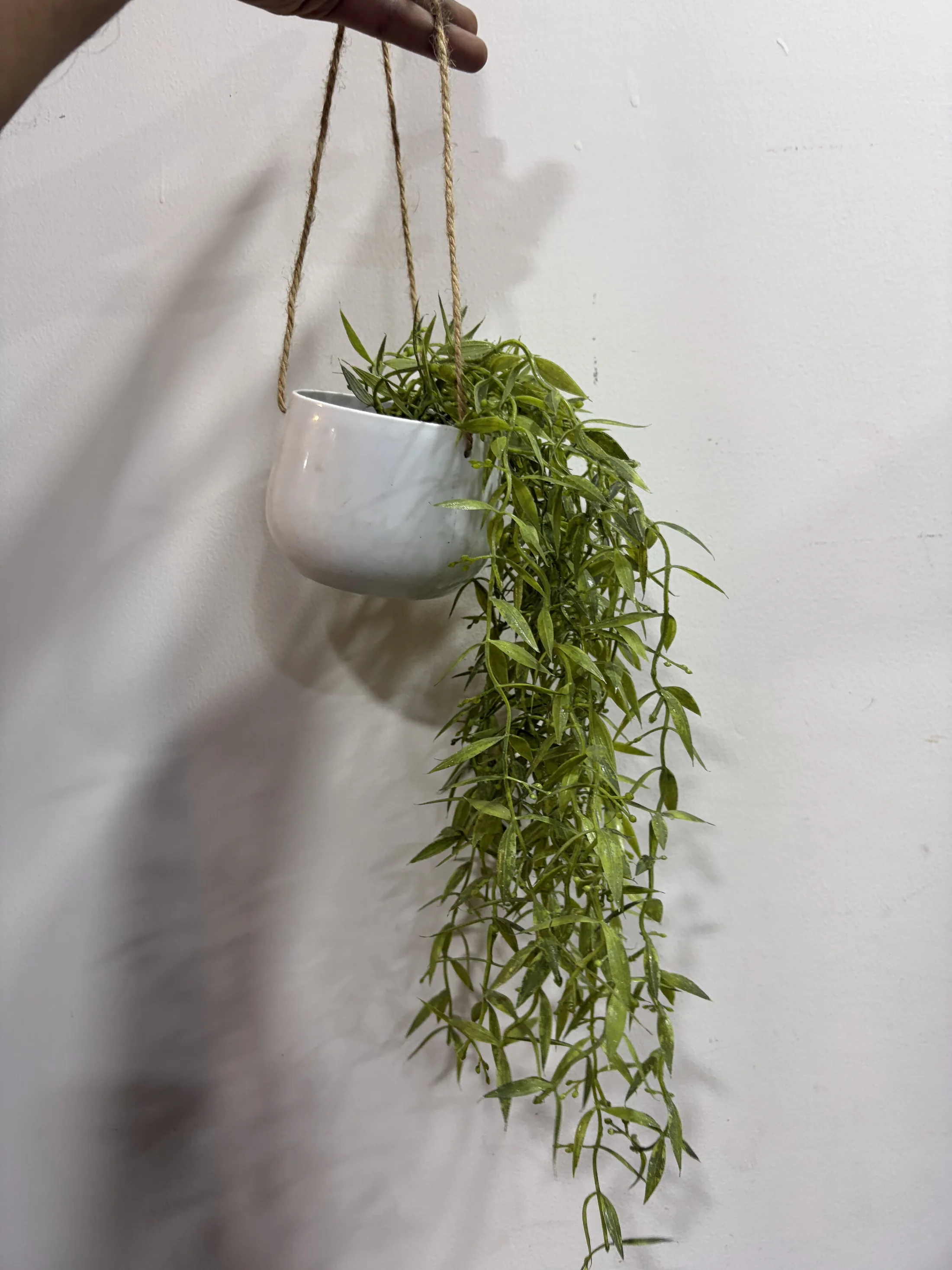 White Ceramic Hanging Planter with Trailing Greenery — Home Decor prop for rent in Delhi NCR